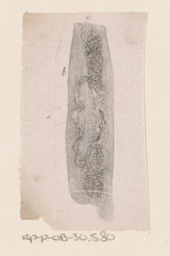 Part of the human body with a deformity