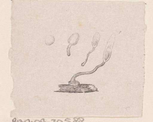 Part of the human body with a deformity