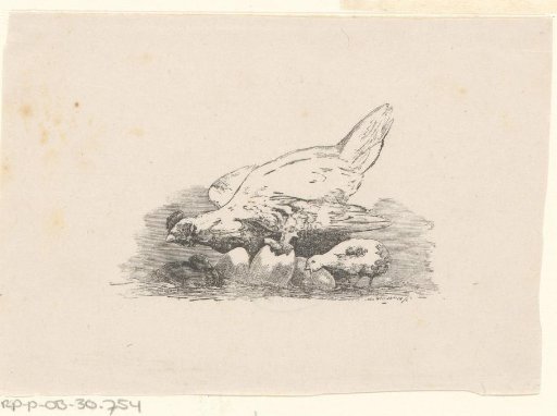 Hen with chicks and hatching eggs