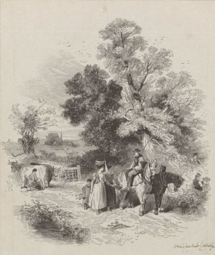 Company with two horses walking on a country road