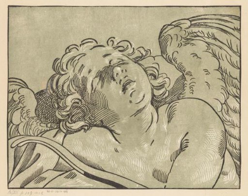 Sleeping Cupid