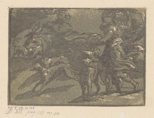 Diana Hunting