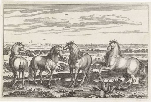 Horses