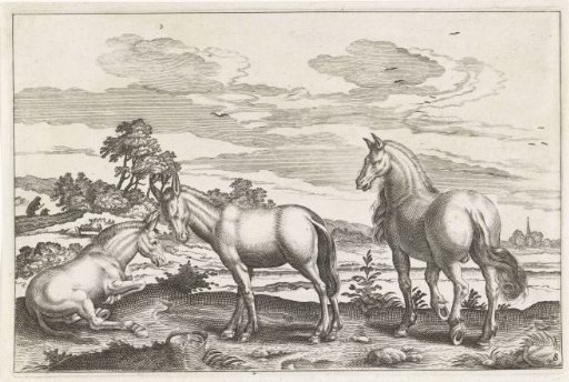 Horse and donkeys