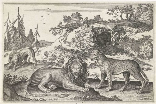 Lions and leopard