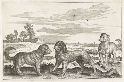 Dogs