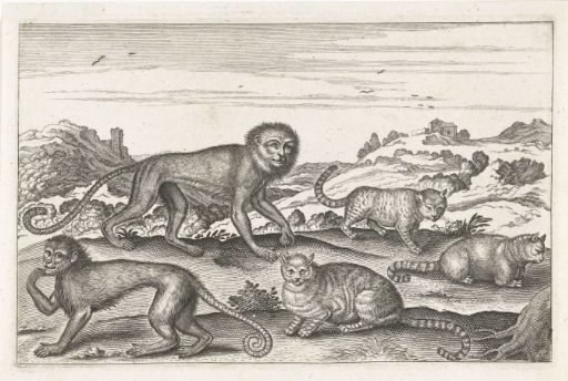 Apes and cats