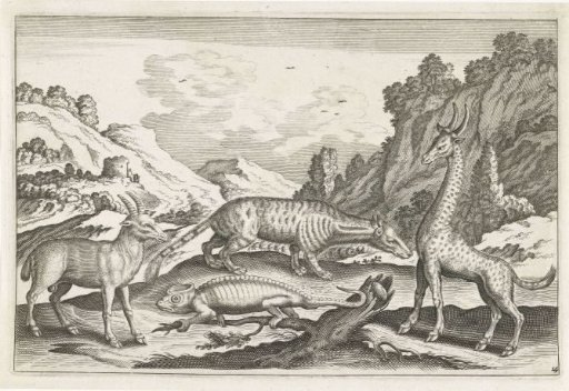 Exotic animals