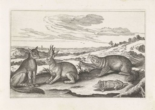 Forest animals