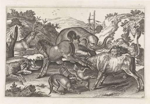 Fighting animals