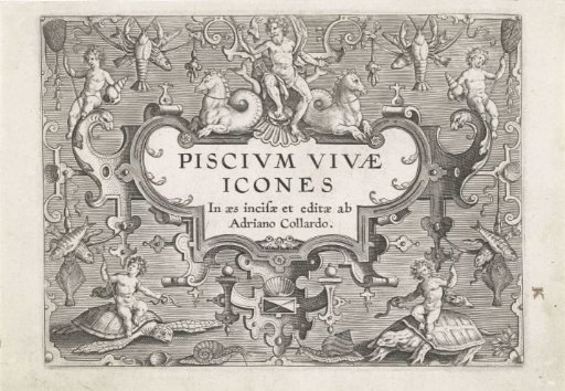 Title Print with Sea Creatures as Ornaments