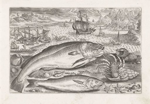 Two Fish on the Beach