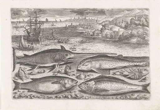 Four Fish on the Beach