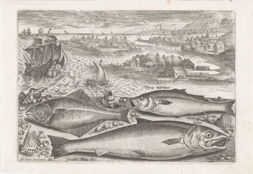 Three Fish on the Beach