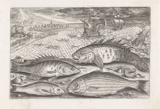 Four Fish on the Beach