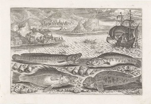 Four Fish on the Beach