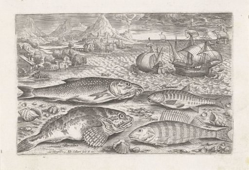 Four Fish on the Beach