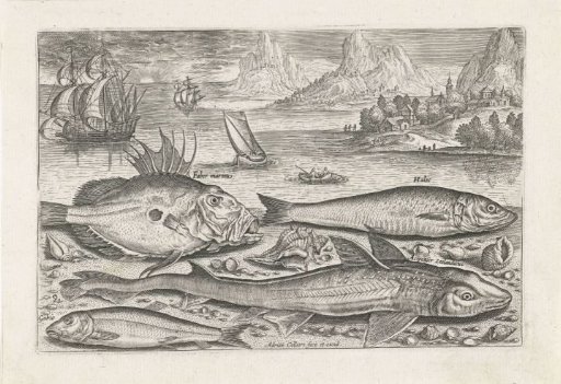 Four Fish on the Beach