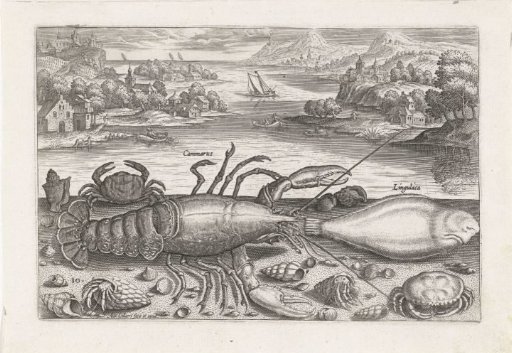 A Fish and Some Shellfish on the Beach