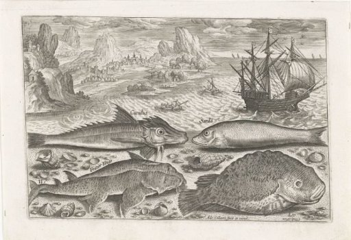 Four Fish on the Beach
