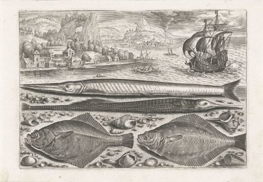 Four Fish on the Beach