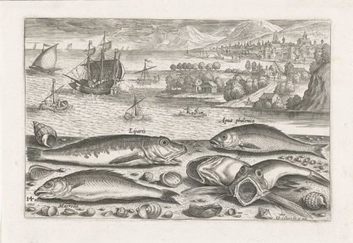Five Fish on the Beach