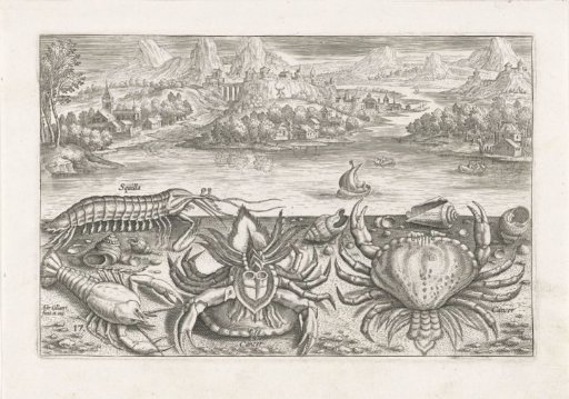 Some shellfish on the beach