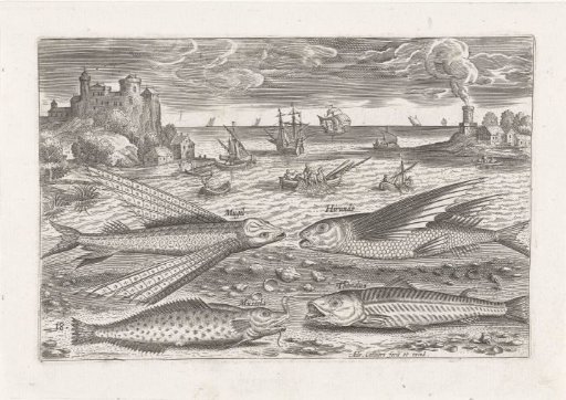 Four fish on the beach