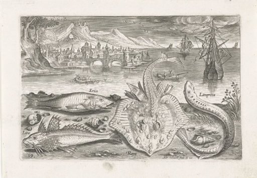 Four fish on the beach