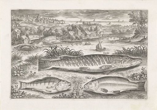 Three fish on a shore