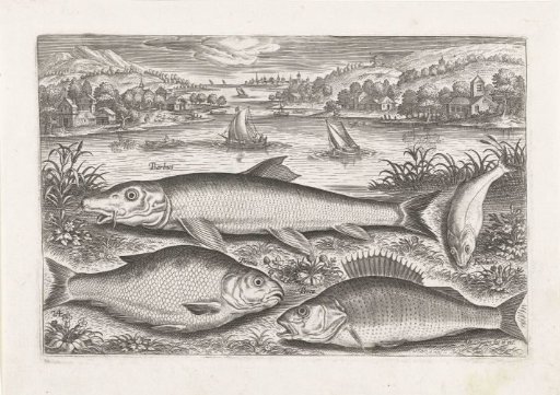 Four fish on a shore