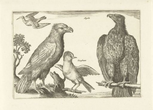 Four Birds