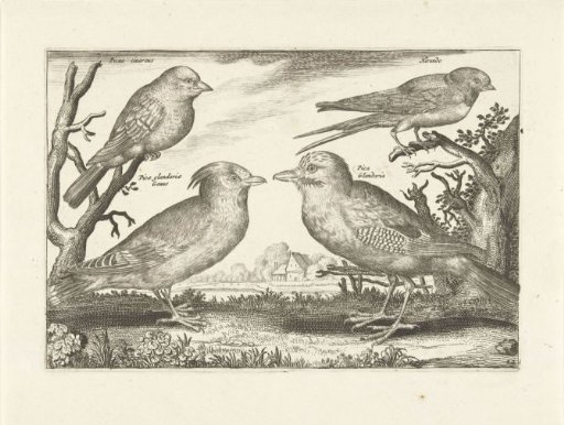 Four birds