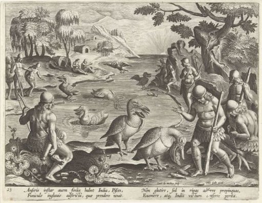 Indians catching fish with the help of pelicans