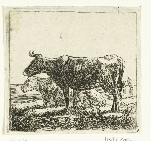 Two cows on river bank
