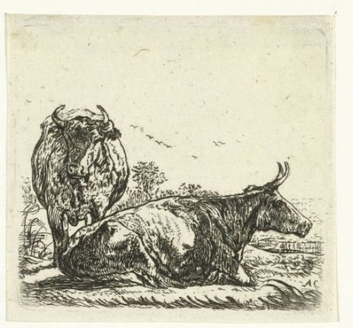 Two cows