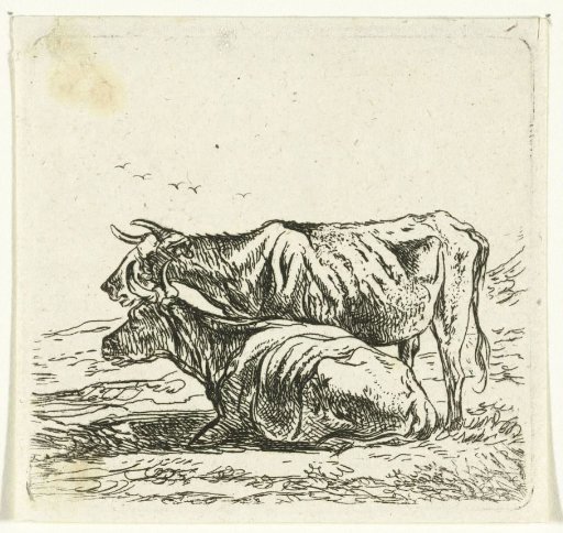 Two Cows