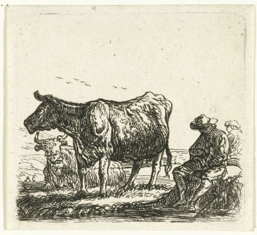 Two Cows and Shepherds