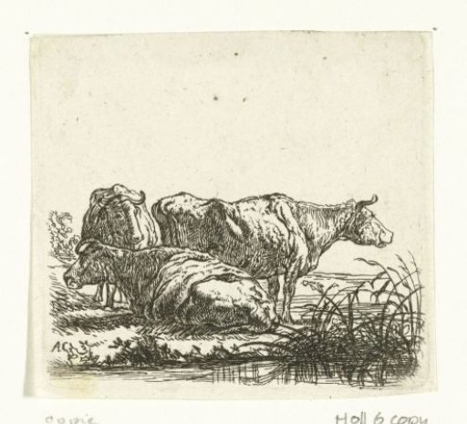 Three Cows