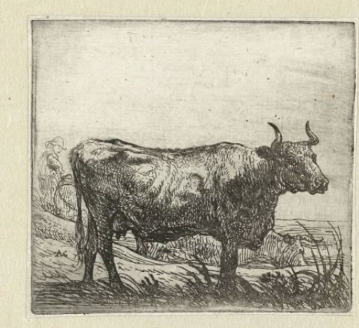 Two Cows