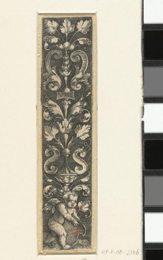 Ornament with Putto and Shield