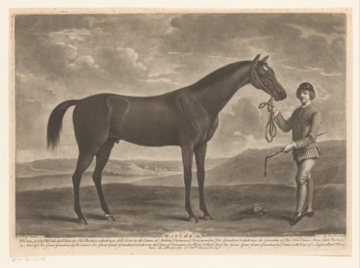 Racehorse with jockey