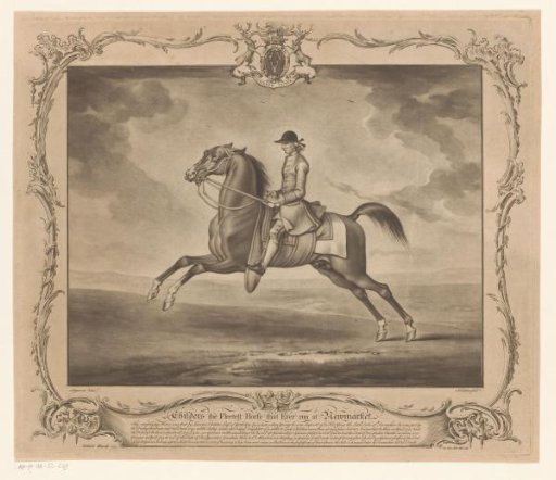 Racehorse with jockey