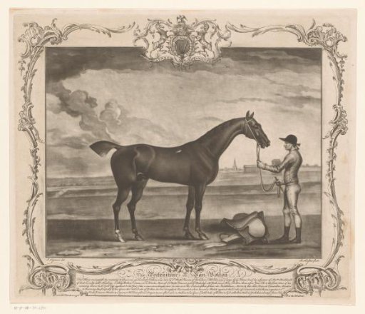 Racehorse with jockey