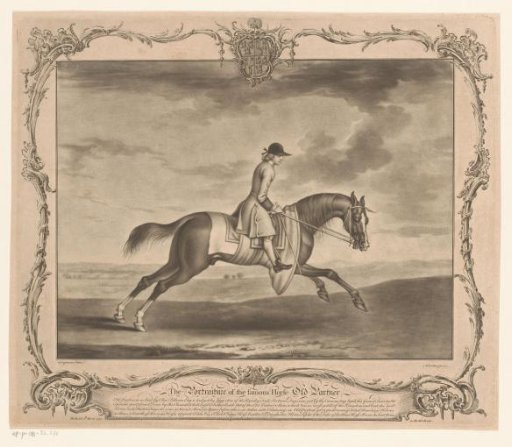 Racehorse with jockey