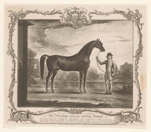 Racehorse with jockey