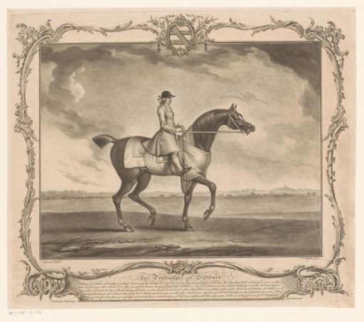 Racehorse with jockey