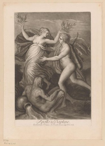 Daphne Transformed into a Laurel Tree