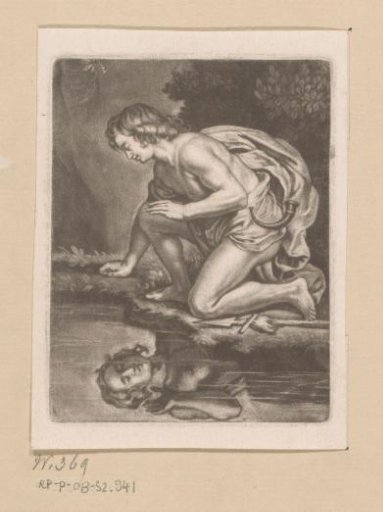 Narcissus