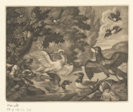 Waterfowl